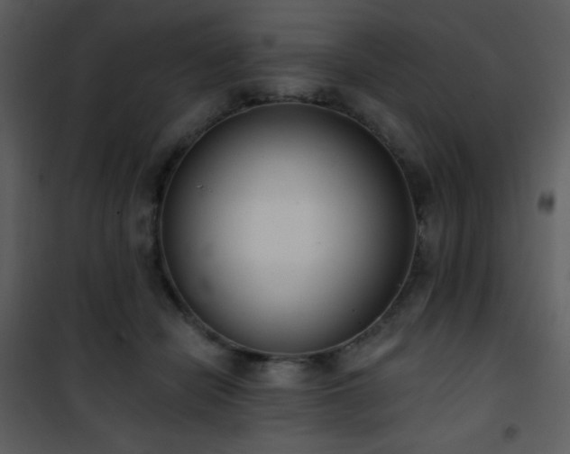 X0000102000462200807181209