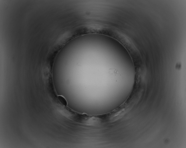 X0000102000463200807181209