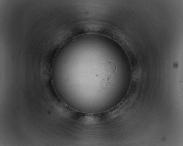 X0000102000464200807181209