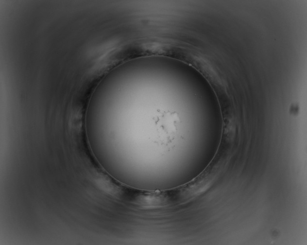 X0000102000466200807181209