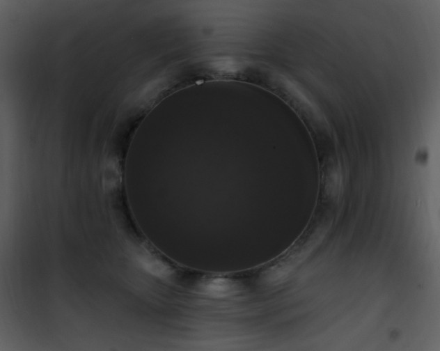 X0000102000467200807181209