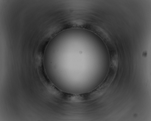 X0000102000468200807181209