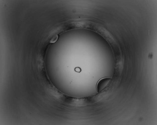 X0000102000469200807181209