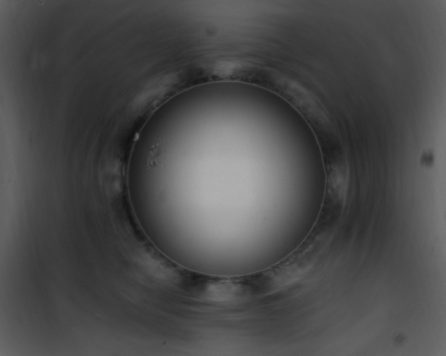 X0000102000470200807181209