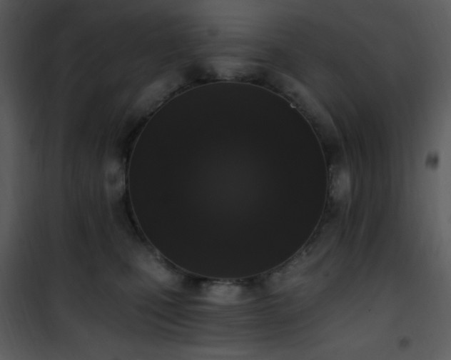 X0000102000471200807181209