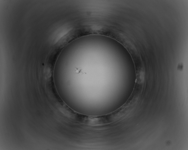 X0000102000472200807181209