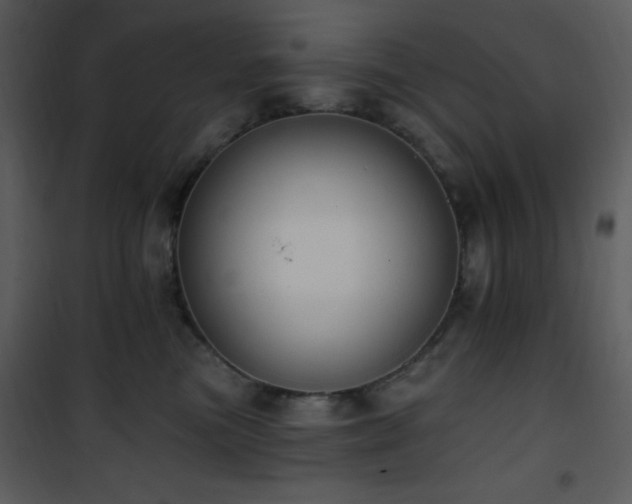 X0000102000473200807181209