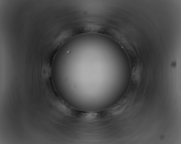 X0000102000474200807181209