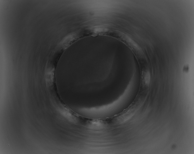 X0000102000475200807181209