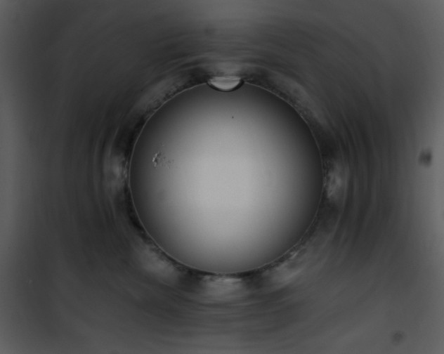 X0000102000476200807181209