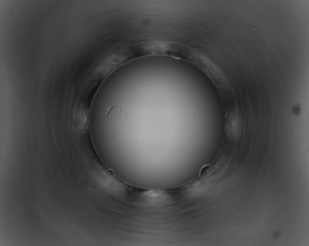 X0000102000477200807181209