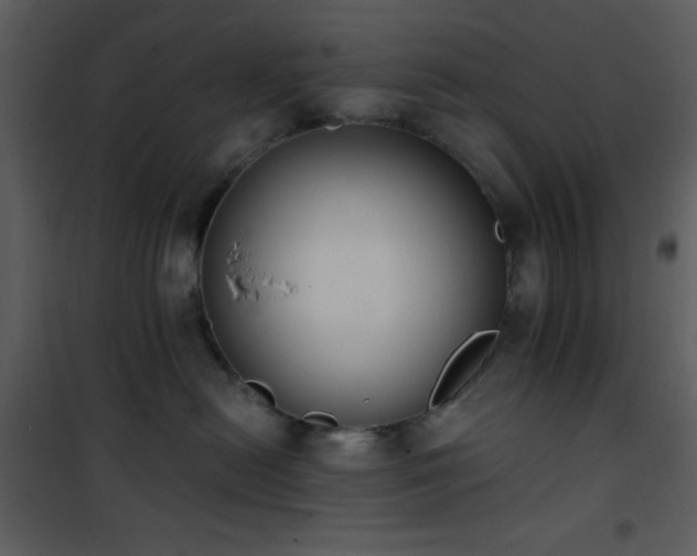 X0000102000478200807181209