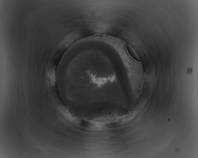 X0000102000479200807181209