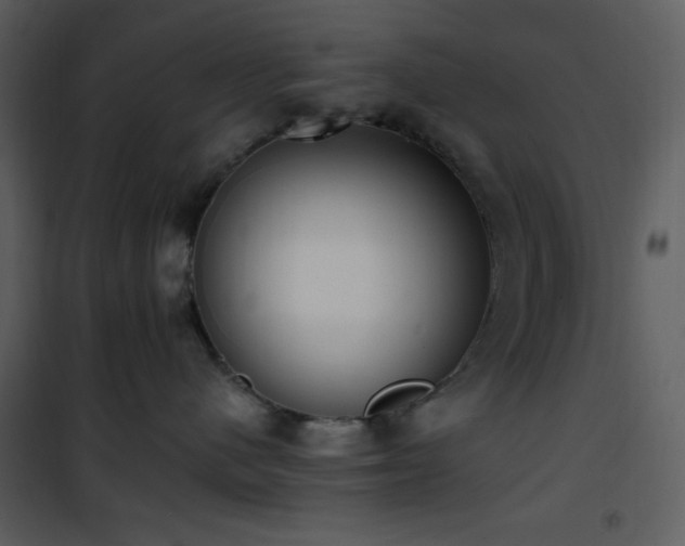 X0000102000480200807181209