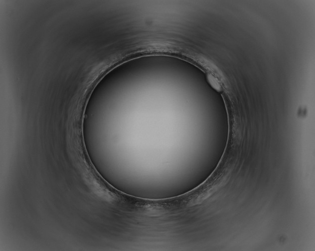 X0000102000481200807181208