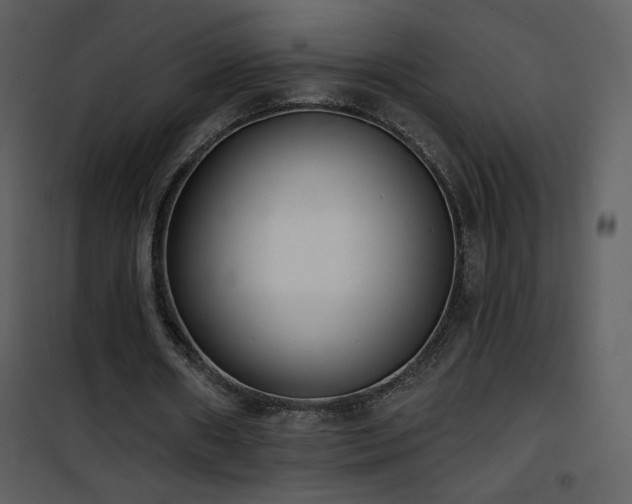 X0000102000482200807181208