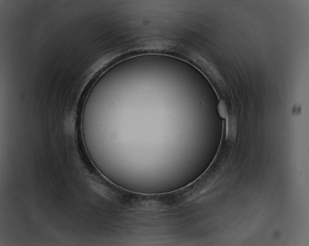 X0000102000483200807181208