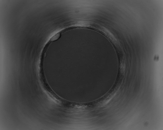 X0000102000484200807181208