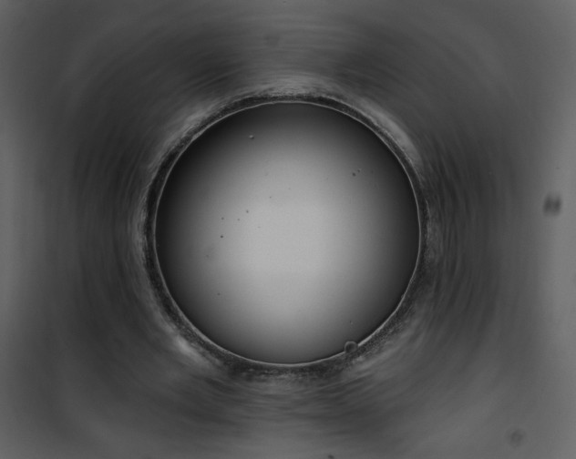 X0000102000485200807181208