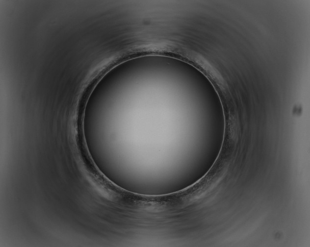 X0000102000486200807181208