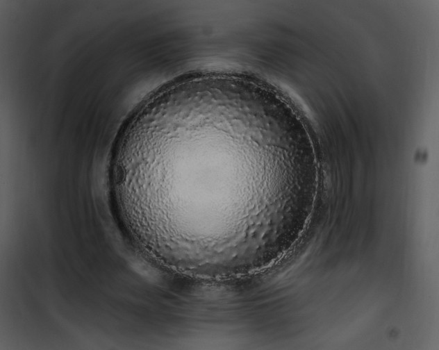 X0000102000487200807181208