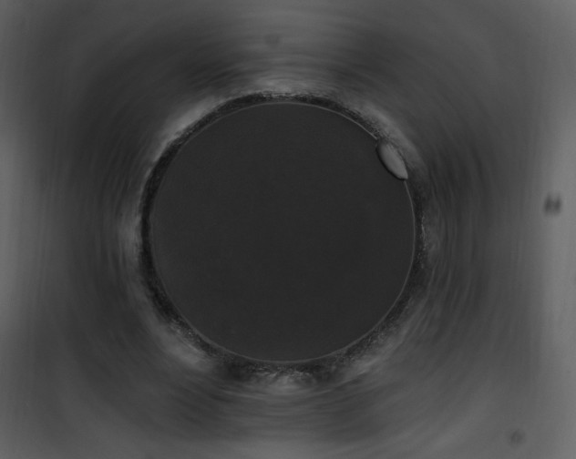 X0000102000488200807181208