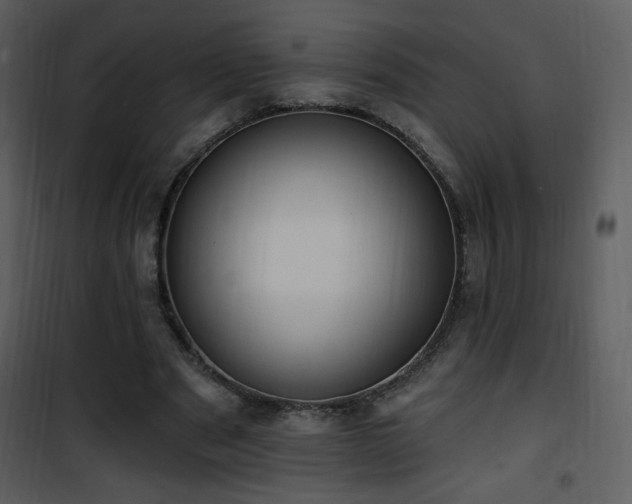 X0000102000489200807181208