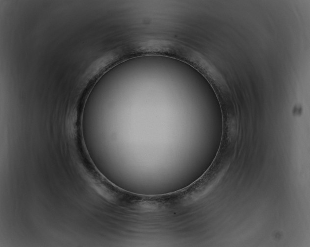 X0000102000490200807181208