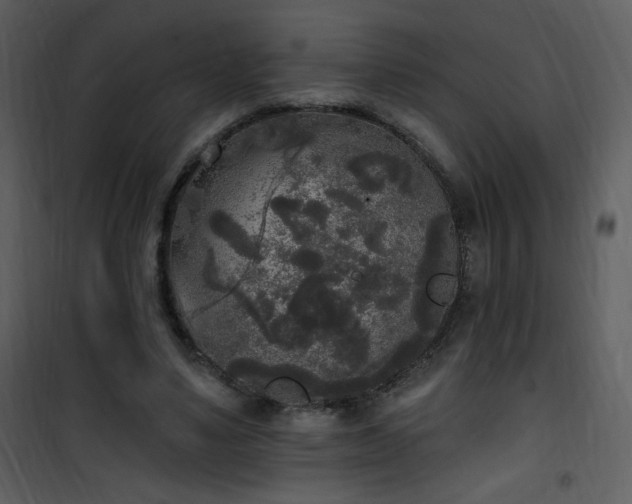 X0000102000491200807181208