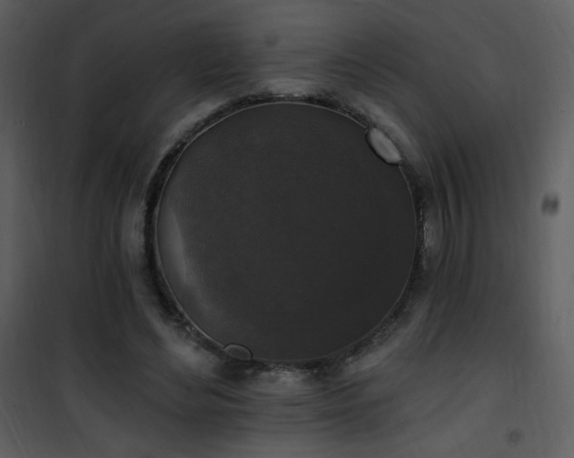 X0000102000492200807181208