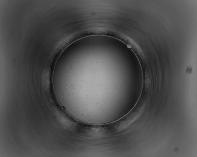 X0000102000493200807181208