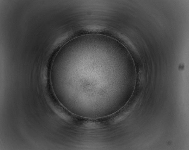 X0000102000494200807181208