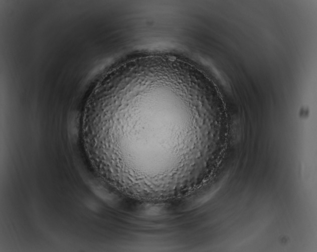 X0000102000495200807181208