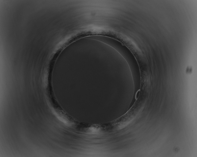 X0000102000496200807181208