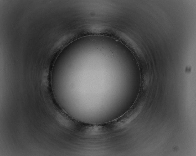 X0000102000497200807181208