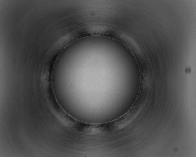 X0000102000498200807181208