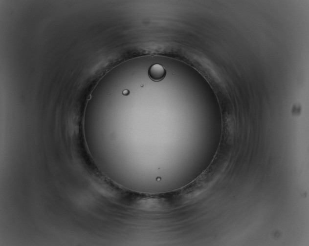 X0000102000499200807181208