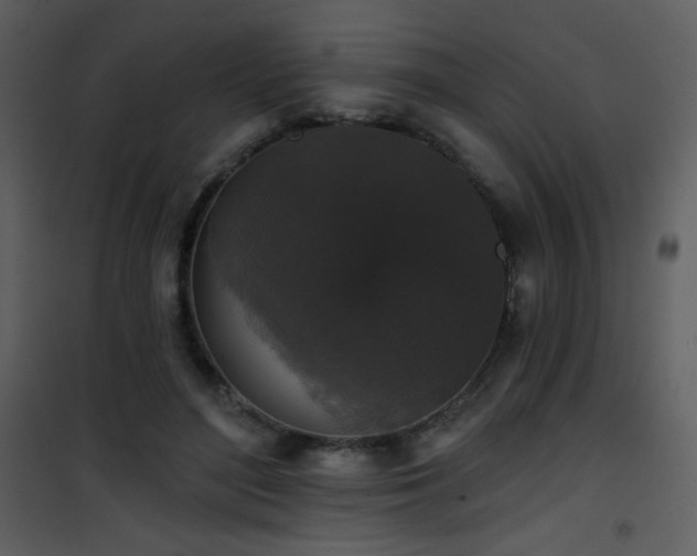 X0000102000500200807181208