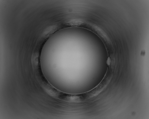 X0000102000501200807181208