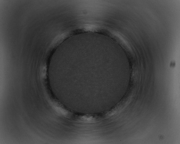 X0000102000502200807181208