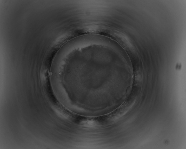 X0000102000503200807181208