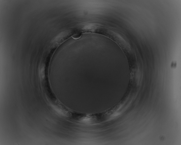 X0000102000504200807181208