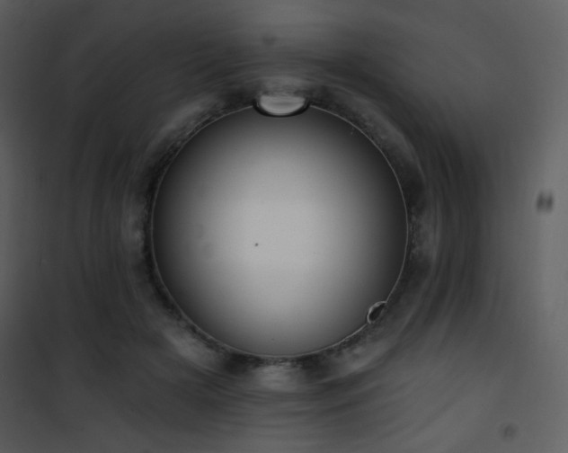 X0000102000505200807181208