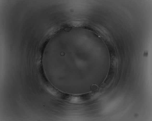 X0000102000507200807181208