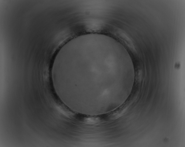 X0000102000508200807181208