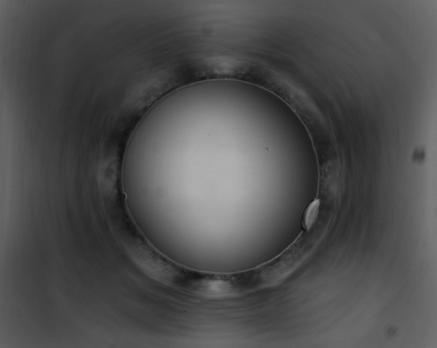 X0000102000509200807181208