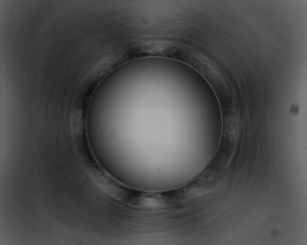 X0000102000510200807181208