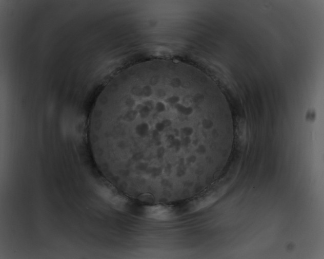 X0000102000511200807181208