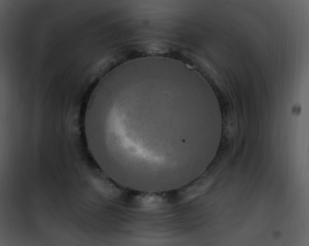 X0000102000512200807181208