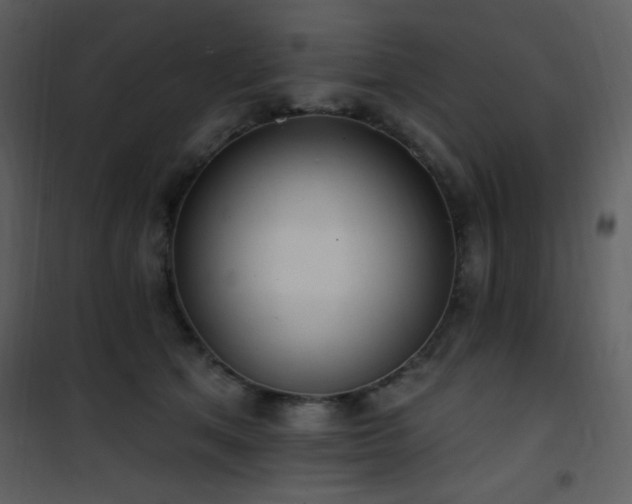 X0000102000513200807181208